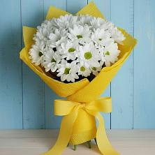Букет Застенчивые лепестки в Киренске Букет цветов из:  Хризантемы в Киренске